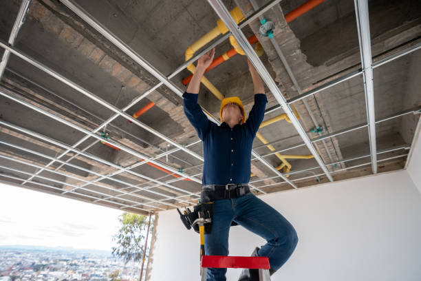Best Plumbing Services Near Me  in Oakland, MO